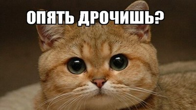 Жесткое, Николас, лижет яйца, трансы