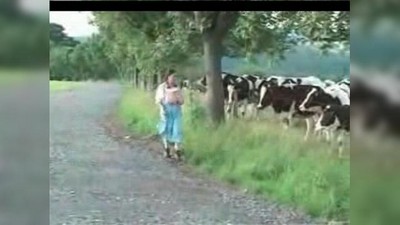 Деревенское, Приколы