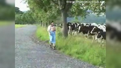 Деревенское, На природе, Приколы