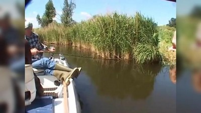 Зрелые, На природе, Частное, Приколы