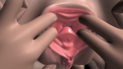 HD, Мультфильмы, 3D