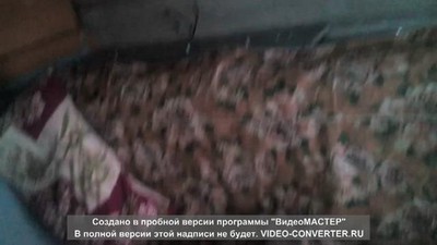 Домашнее, Спящие, Пьяные, Толстые