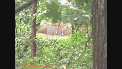 Девушки, Частное, Русское, Писсинг, Compilation - подборки