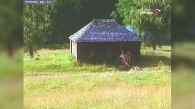 Знаменитости, Русское, Compilation - подборки