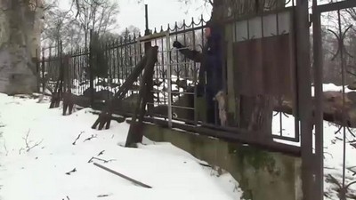 Compilation - подборки, Полнометражный