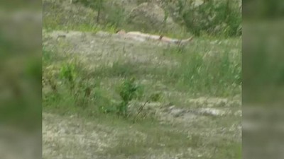 На природе, Эротика, Русское, Нудисты, Скрытая камера