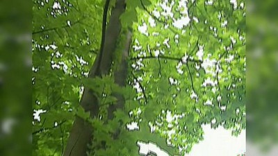 Изнасилование, Блондинки, Итальянское, На природе